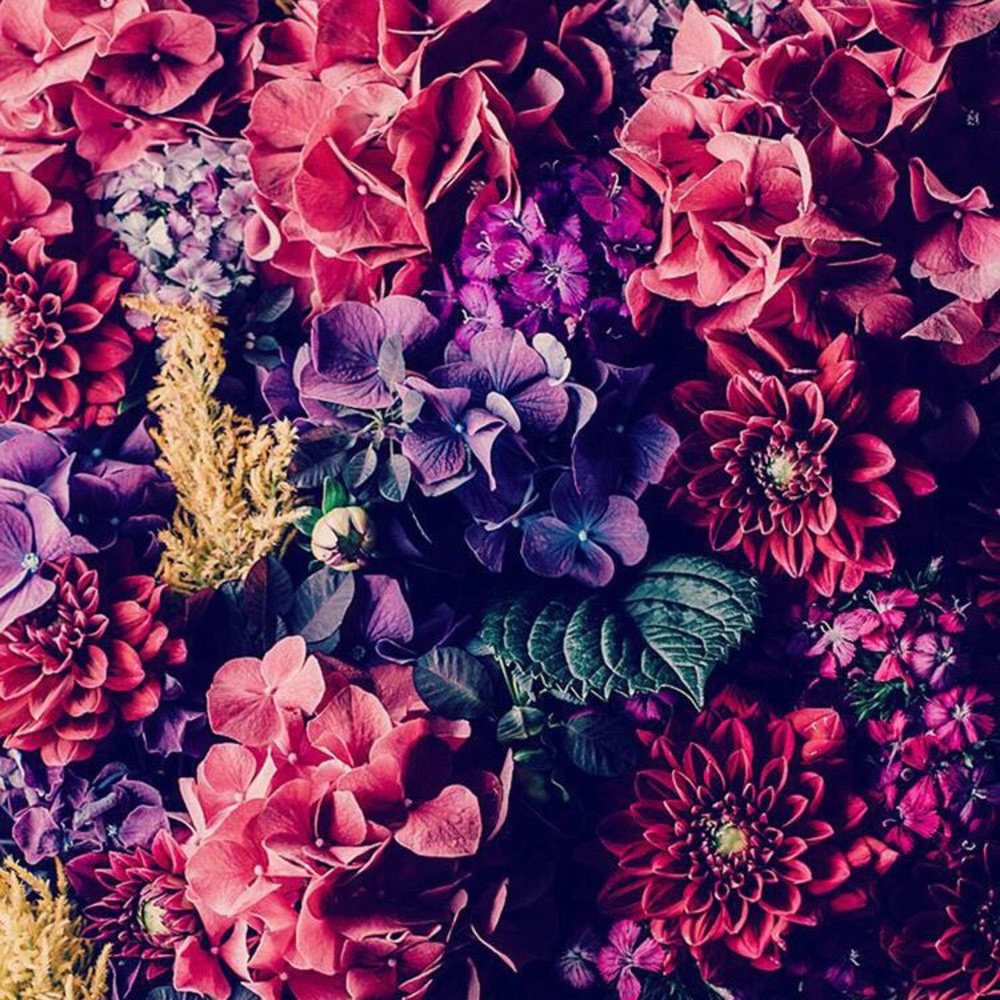 Meet your Posher, Jeniffer